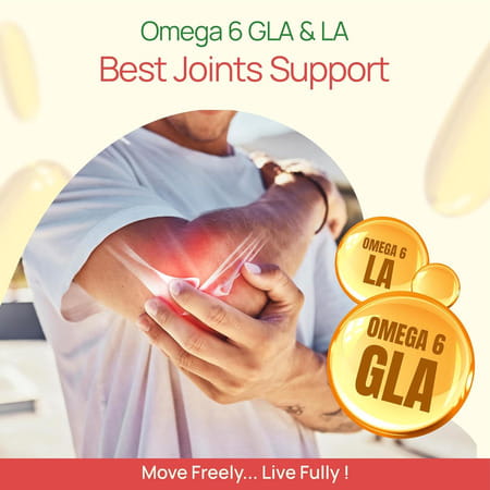 Bliss Welness Penta Omega Advanced Formula For Heart Brain Skin & Joints & Metabolism 60 Softgels