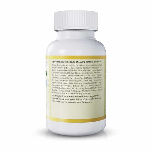 Jeena Sikho Lipi | Ayurvedic Multivitamin For Wellbeing | Health & Immunity | 60 Capsule