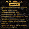 Fij Ayurveda Pure Ayurvedic Shilajit/Shilajit Resin (Semi Liquid) Supports Vigor & Vitality - 20Gm