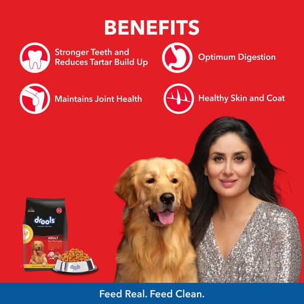 Drools Chicken & Egg Dry Adult Dog Food | 10 Kg | Pack Of 1