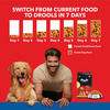 Drools Chicken & Egg Dry Adult Dog Food | 10 Kg | Pack Of 1