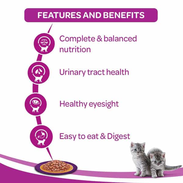 Whiskas Kitten Jellytuna 85 Gm Pouch