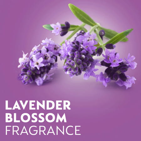Dettol Liquid Disinfectant For Floor Cleaner Surface Disinfection - Lavender Blossom - 500ml