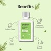 Perfora Mouthwash Probiotic Rinse Thyme Mint