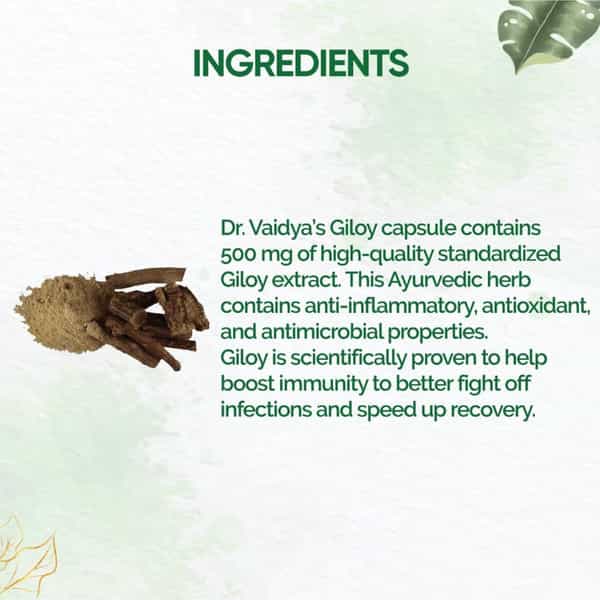 Dr. Vaidya's Giloy -30 Capsules - Pack Of 2