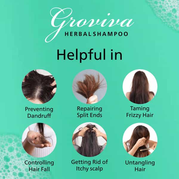 Groviva Herbal Shampoo 300 Ml (Pack Of 2)