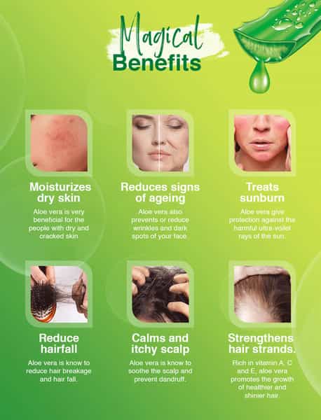 Spantra Aloevera Multipurpose Soothing Gel | 300Ml