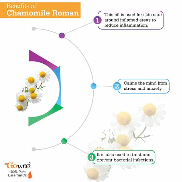 Go Woo 100% Pure Roman Chamomile Oil Virgin & Undiluted 10 Ml