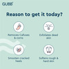 Gubb Pumice Stone