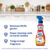 Lizol Kitchen Power Cleaner Liquid Spray 450 Ml