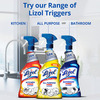 Lizol Kitchen Power Cleaner Liquid Spray 450 Ml