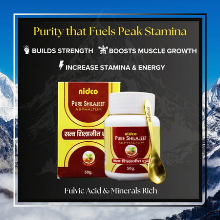 Nidco Shilajit Powder 50 Gm