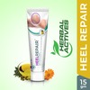 Green Cure Heel Repair Herbal Cream With Teatree Leaf And Magnolia Extract-15Gm