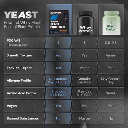 Nutrabay Yeast Protein Powder Rich Chocolate Creme 25G Protein & 6.7G Bcaa Per Scoop Sachet 40 Gm