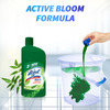 Lizol Disinfectant Floor Cleaner (Neem) - 975ml