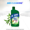 Lizol Disinfectant Floor Cleaner (Neem) - 975ml