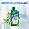 Lizol Disinfectant Floor Cleaner (Neem) - 975ml