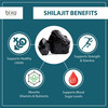 Bixa Botanical Shilajit Extract 60 Veg Capsules (450Mg) 40% Fulvic Acid-Boost Stamina