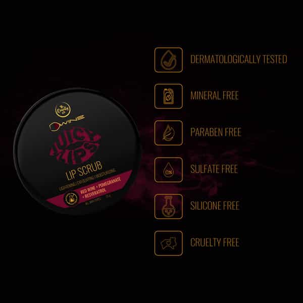 The Beauty Co. D`Wine Juicy Lips Lip Scrub With Red Wine 20Gm