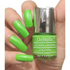 Debelle Gel Nail Polish Gift Set Of 2 Blackberry Mouse | Parrot Green-16 Ml (8 Ml Each)