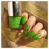 Debelle Gel Nail Polish Gift Set Of 2 Blackberry Mouse | Parrot Green-16 Ml (8 Ml Each)