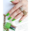 Debelle Gel Nail Polish Gift Set Of 2 Blackberry Mouse | Parrot Green-16 Ml (8 Ml Each)