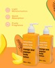 Anatomicals | Mango & Papaya Lotion | Nourishing & Softening | Paraben Free | Unisex | 300 Ml