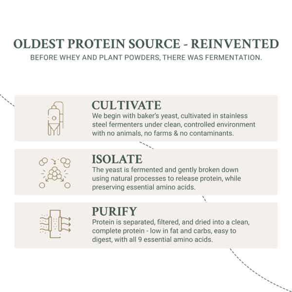 Truebasics Clean Yeast Protein Powder | 25G Protein Per Scoop (Coffee| 1Kg)