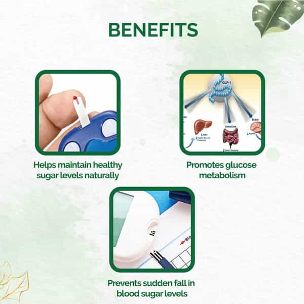 Dr. Vaidya's Diabex -30 Capsules