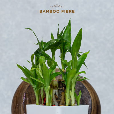 View product image 6