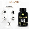 Fij Ayurveda Raw Shilajit/Shilajeet Capsule For Men & Women - 500mg 60 Capsules (Pack Of 2)