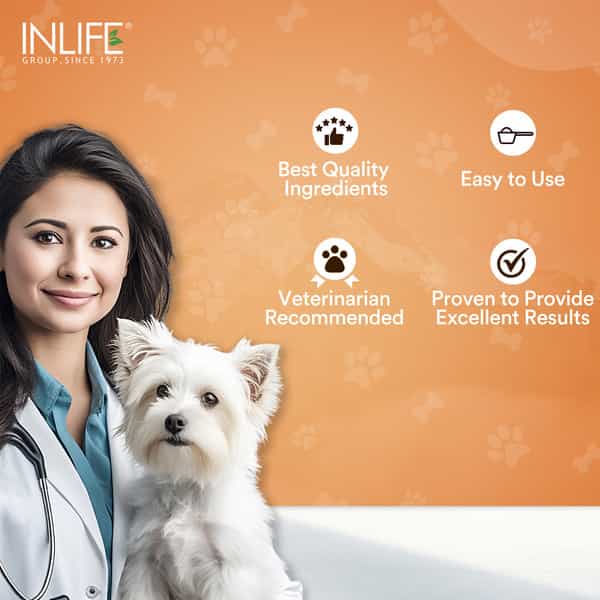 Inlife Nutritional Meal Mix Powder For Dogs Cats And Pets, Pet Protein Supplement - 500G (Chocolate)
