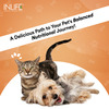 Inlife Nutritional Meal Mix Powder For Dogs Cats And Pets, Pet Protein Supplement - 500G (Chocolate)