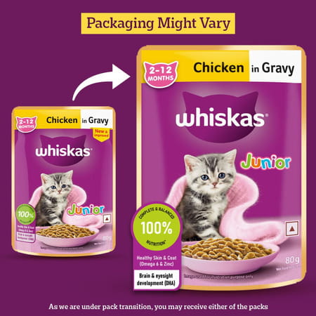 Whiskas Junior Kitten (2-12 Months) Wet Cat Food | Chicken In Gravy | 80 G (Pack Of 14)