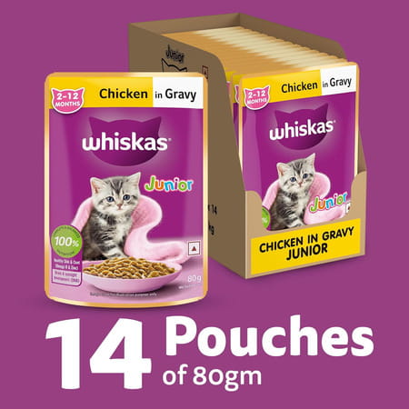 Whiskas Junior Kitten (2-12 Months) Wet Cat Food | Chicken In Gravy | 80 G (Pack Of 14)