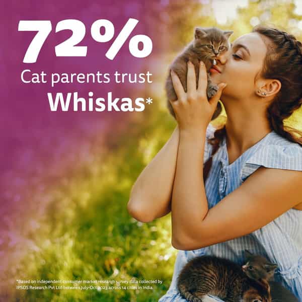 Whiskas Junior Kitten (2-12 Months) Wet Cat Food | Chicken In Gravy | 80 G (Pack Of 14)
