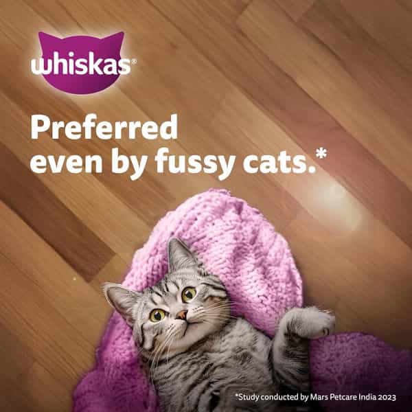 Whiskas Junior Kitten (2-12 Months) Wet Cat Food | Chicken In Gravy | 80 G (Pack Of 14)