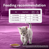 Whiskas Junior Kitten (2-12 Months) Wet Cat Food | Chicken In Gravy | 80 G (Pack Of 14)