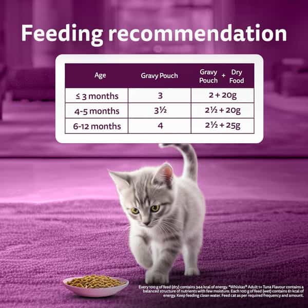 Whiskas Junior Kitten (2-12 Months) Wet Cat Food | Chicken In Gravy | 80 G (Pack Of 14)