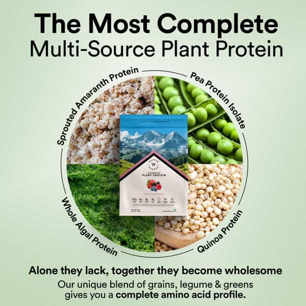 Wellbeing Nutrition Organic Vegan Plant Powder | 22G Protein | 5G Bcaa | Canadian Mixed Berry 500Gm