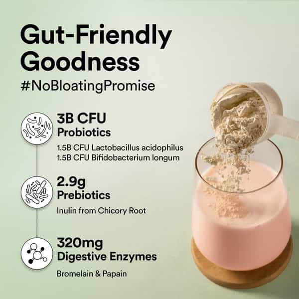 Wellbeing Nutrition Organic Vegan Plant Powder | 22G Protein | 5G Bcaa | Canadian Mixed Berry 500Gm