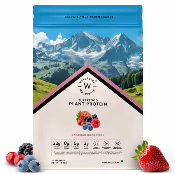Wellbeing Nutrition Organic Vegan Plant Powder | 22G Protein | 5G Bcaa | Canadian Mixed Berry 500Gm