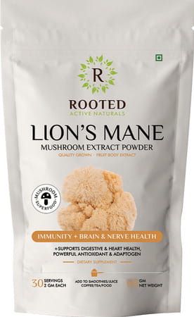 Rooted Actives -lion's Mane Mushroom Extract Powder - Pure Fruit Body Extract - 60gm
