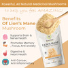 Rooted Actives -Lion'S Mane Mushroom Extract Powder - Pure Fruit Body Extract - 60gm