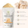 Rooted Actives -Lion'S Mane Mushroom Extract Powder - Pure Fruit Body Extract - 60gm