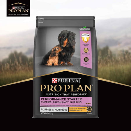 Purina Pro Plan Performance Kibble Starter | Puppies & Mothers | 3 Kg Pack