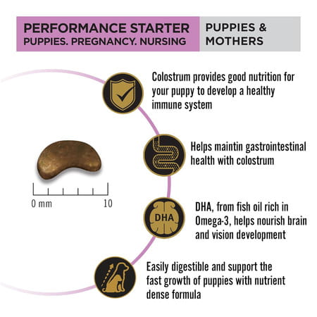 Purina Pro Plan Performance Kibble Starter | Puppies & Mothers | 3 Kg Pack