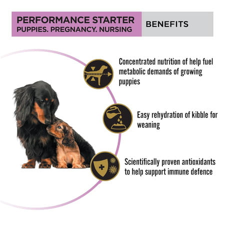 Purina Pro Plan Performance Kibble Starter | Puppies & Mothers | 3 Kg Pack