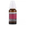 Dr. Willmar Schwabe Germany Damiaplant 20ml Drop