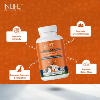 View product image 4